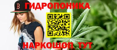 прущие грибы Кумертау