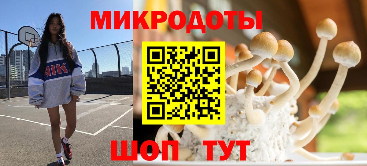 Псилоцибиновые грибы MAGIC MUSHROOMS Гудермес